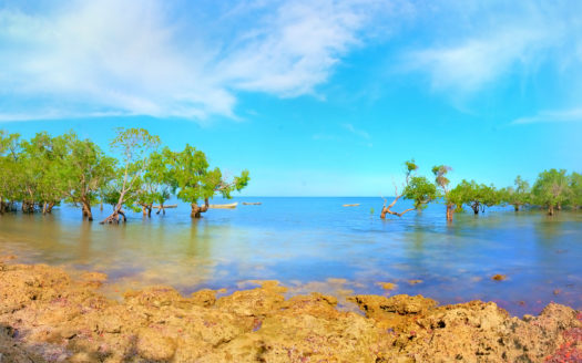 10 Acre Shimoni Beach Plot For Sale – Kwale South Coast Near Kisite Marine Park
