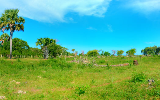 10 Acre Shimoni Beach Plot For Sale – Kwale South Coast Near Kisite Marine Park