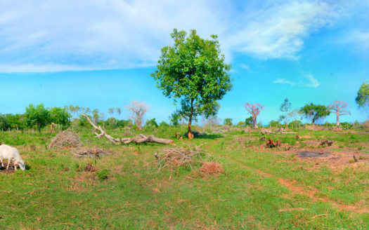 10 Acre Shimoni Beach Plot For Sale – Kwale South Coast Near Kisite Marine Park