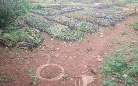 Prime Residential Plots In Nyari Estate For Sale Ksh 50M