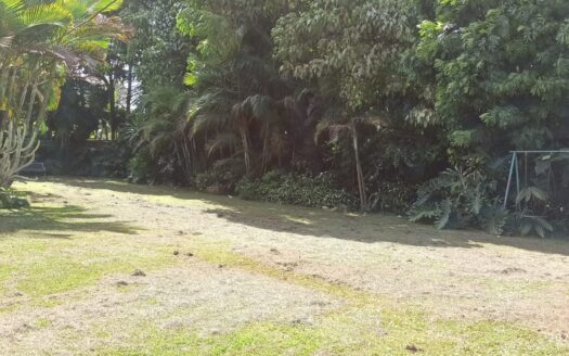 To Let: Townhouses to let in New Kitisuru