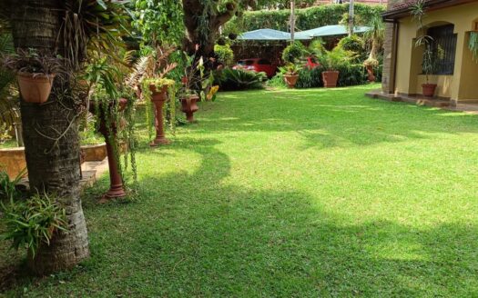 To Let: Charming 2-Bedroom Guest Wing in Runda Mimosa – Fully Furnished