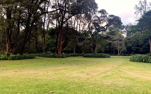 For Sale: 7.23-Acre Cape Dutch Legacy Estate in Kitisuru