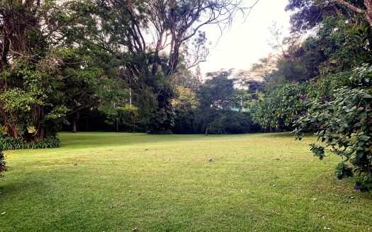 For Sale: 7.23-Acre Cape Dutch Legacy Estate in Kitisuru
