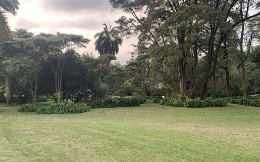 For Sale: Old Kitisuru 7.45 Acres Redevelopment Prime Land