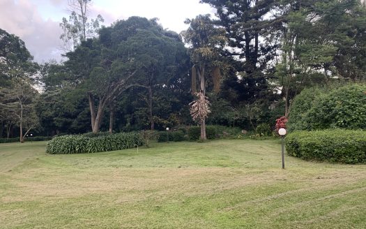 For Sale: Old Kitisuru 7.45 Acres Redevelopment Prime Land