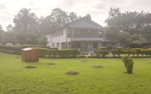 To let: Nyari Nairobi, Prestigious 5-Bedroom Ensuite Mansion with Private Guest House