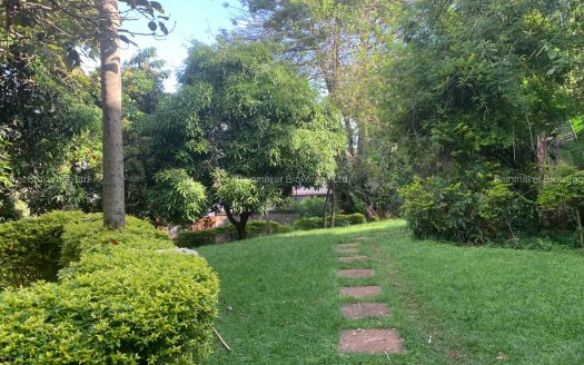 For Sale | Prime Lavington Redevelopment Property
