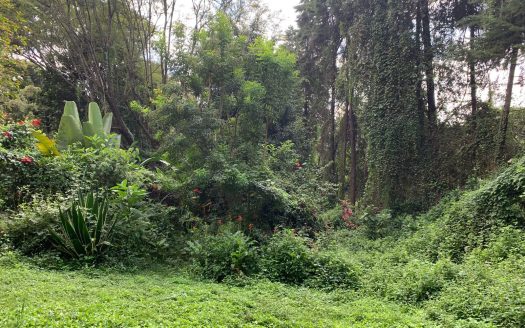 For Sale | Prime 1-Acre Residential Plot | Tate Close, Kitisuru, Nairobi