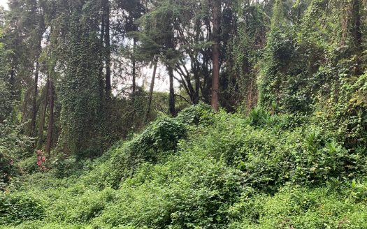 For Sale | Prime 1-Acre Residential Plot | Tate Close, Kitisuru, Nairobi