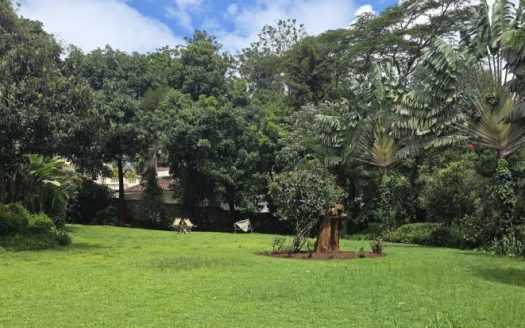 To Let | Premium Commercial Residence | Kyuna Road, Kyuna, Nairobi