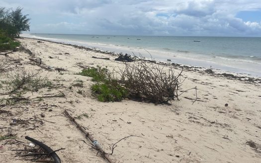 For Sale | Prime Beachfront Land | Diani Beach, Kwale County, Kenya
