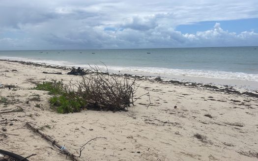 For Sale | Prime Beachfront Land | Diani Beach, Kwale County, Kenya