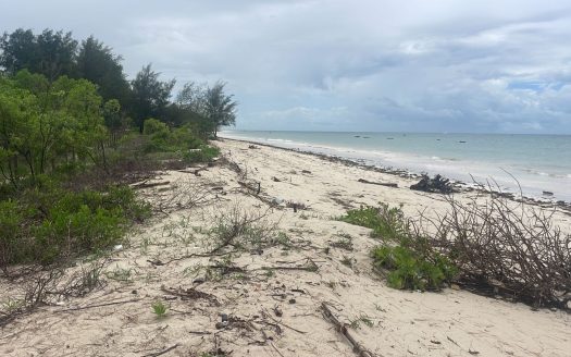 For Sale | Prime Beachfront Land | Diani Beach, Kwale County, Kenya