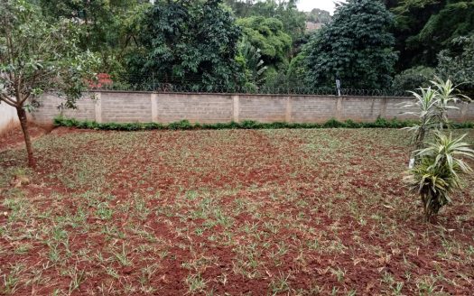 To Let | Four-Bedroom Bungalow on 1 Acre | Runda, Nairobi