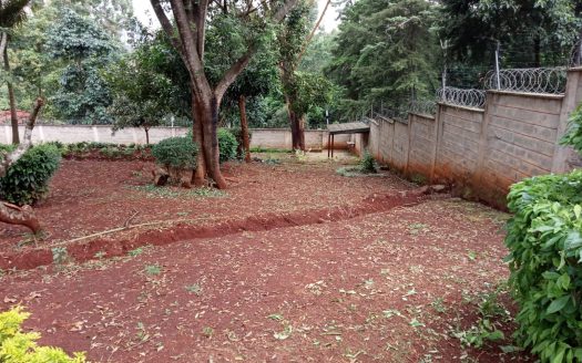 To Let | Four-Bedroom Bungalow on 1 Acre | Runda, Nairobi