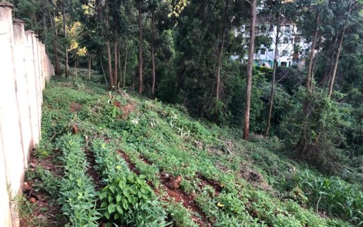 For Sale | Prime 1.7-Acre Residential Plot | Peponi Road, Nairobi