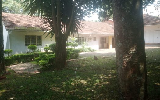 To Let | Four-Bedroom Family Home + 2 DSQ | Kibagare, Nairobi