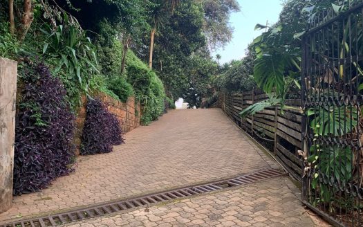 To Let: Spring Valley Estate 5 Bedroom & DSQ