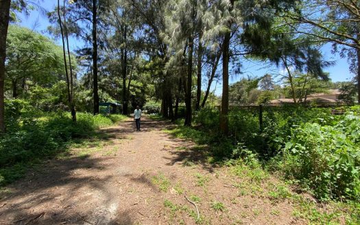 1/2 Acre Prime Plot – Lakeview Estate, Kitisuru for sale