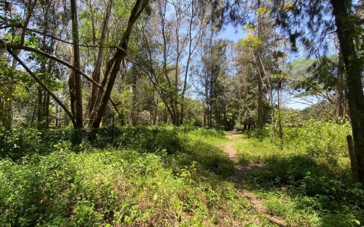 1/2 Acre Prime Plot – Lakeview Estate, Kitisuru for sale