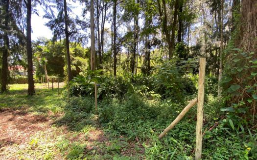 1/2 Acre Prime Plot – Lakeview Estate, Kitisuru for sale